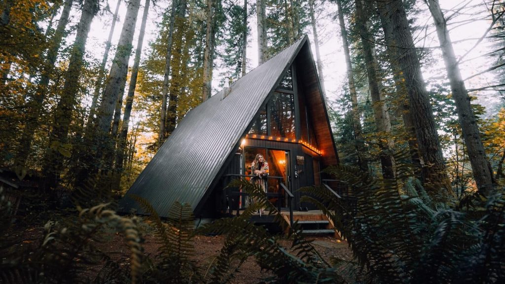 A cozy woodland cabin available for rent on Airbnb.